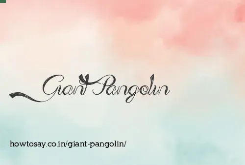 Giant Pangolin