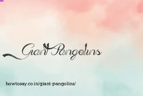 Giant Pangolins