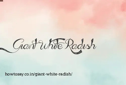 Giant White Radish