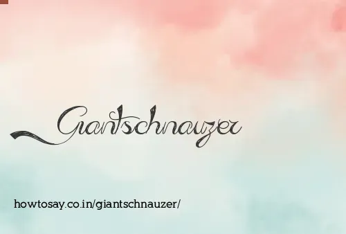 Giantschnauzer