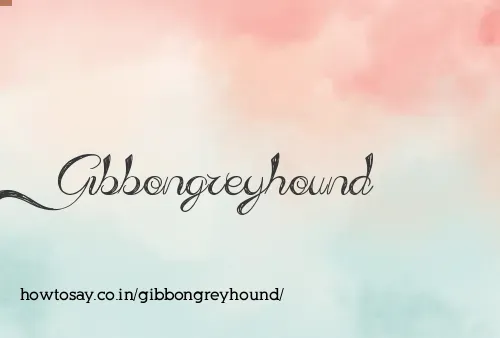 Gibbongreyhound