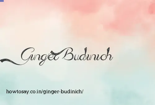Ginger Budinich
