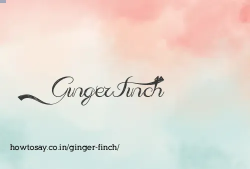 Ginger Finch