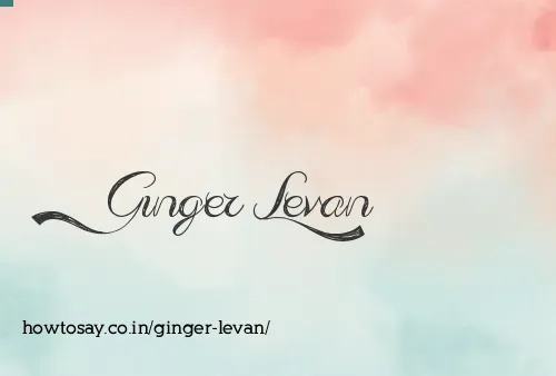 Ginger Levan