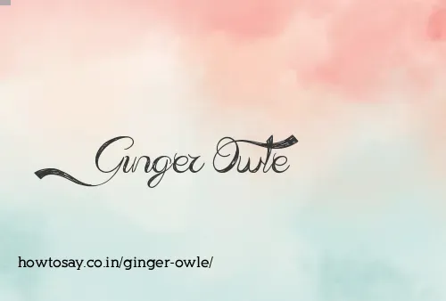 Ginger Owle