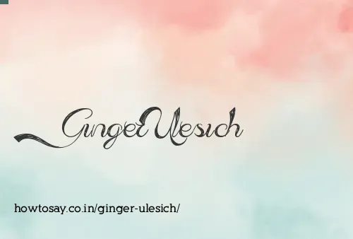 Ginger Ulesich