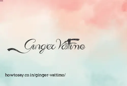 Ginger Vattimo