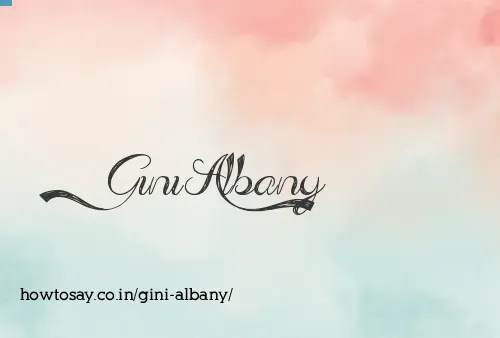 Gini Albany