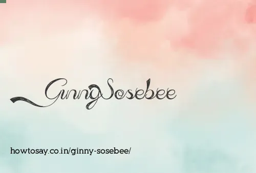 Ginny Sosebee