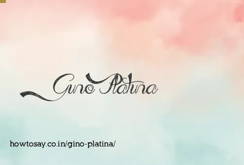 Gino Platina