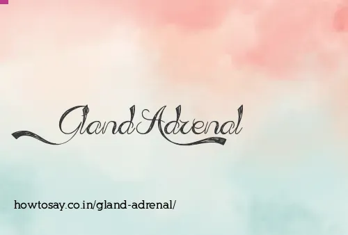 Gland Adrenal