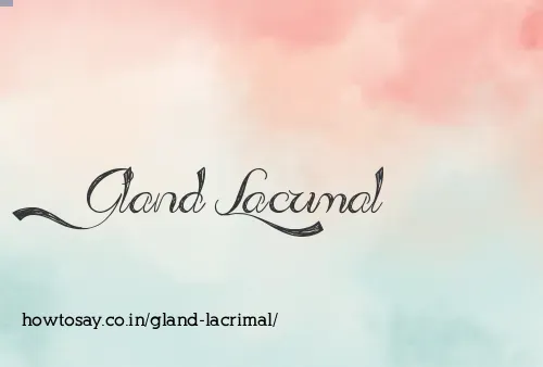 Gland Lacrimal