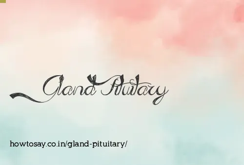 Gland Pituitary