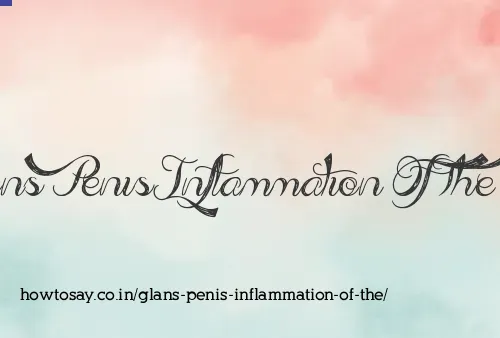 Glans Penis Inflammation Of The