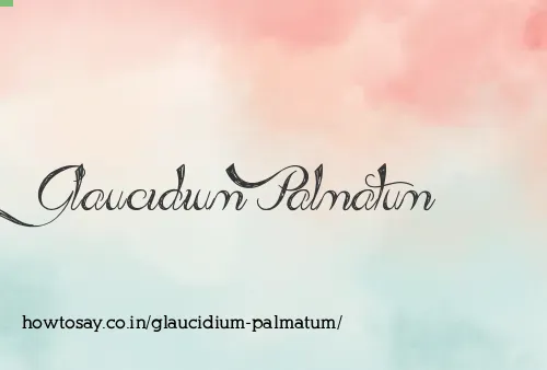 Glaucidium Palmatum