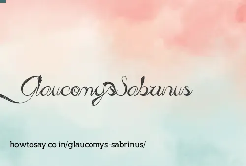 Glaucomys Sabrinus