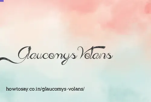 Glaucomys Volans