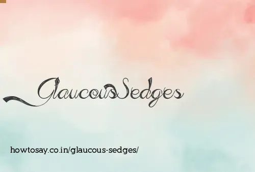 Glaucous Sedges