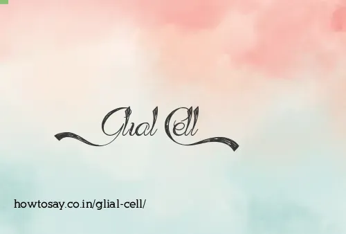 Glial Cell