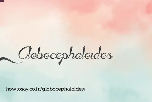 Globocephaloides
