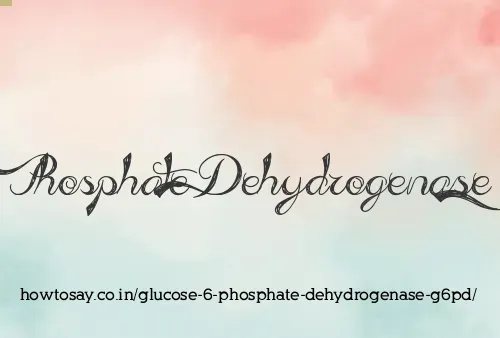 Glucose 6 Phosphate Dehydrogenase G6pd