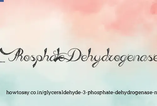 Glyceraldehyde 3 Phosphate Dehydrogenase Nadp-