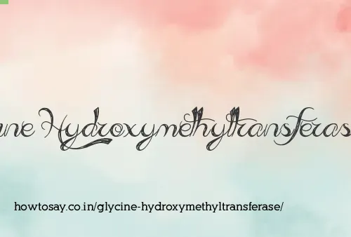 Glycine Hydroxymethyltransferase