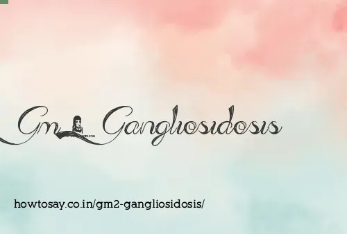 Gm2 Gangliosidosis