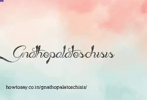 Gnathopalatoschisis
