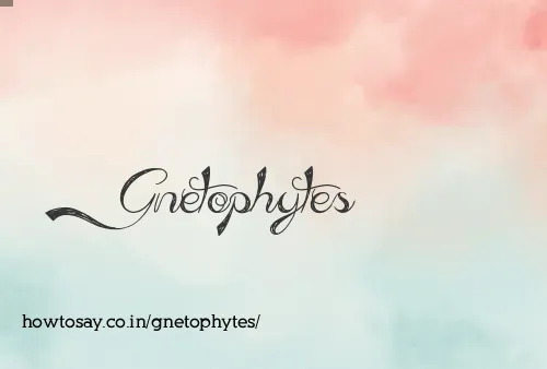 Gnetophytes