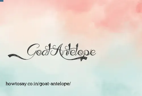 Goat Antelope