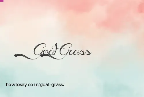 Goat Grass
