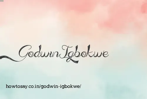 Godwin Igbokwe