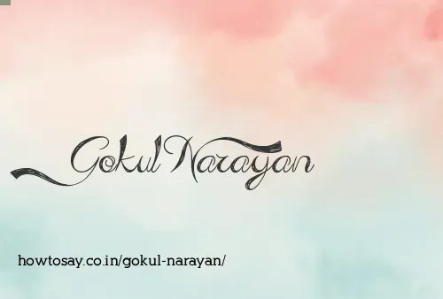 Gokul Narayan