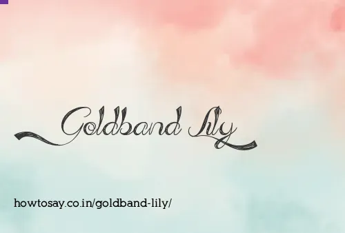 Goldband Lily