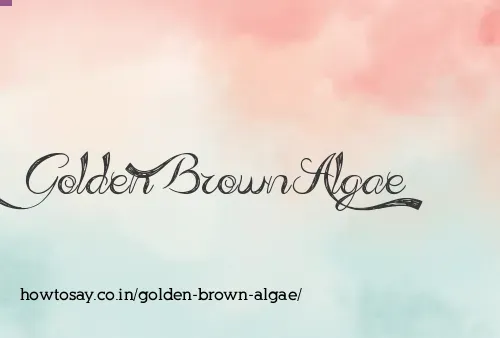 Golden Brown Algae