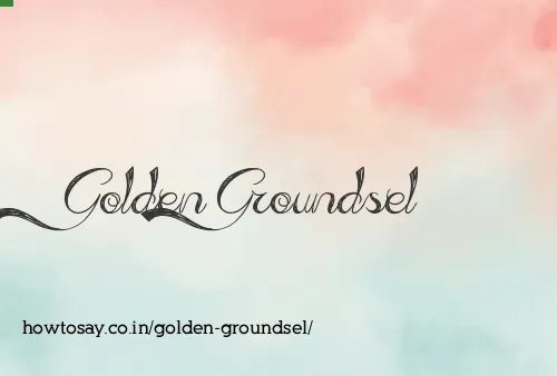 Golden Groundsel