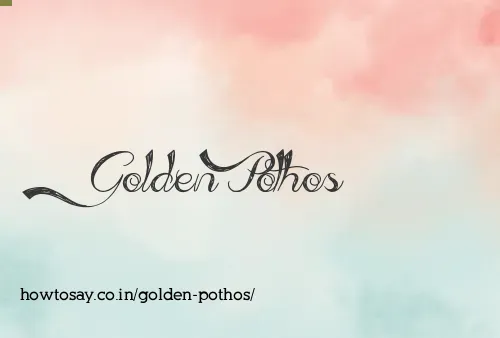 Golden Pothos