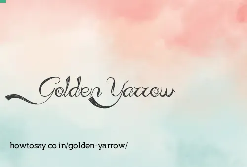 Golden Yarrow