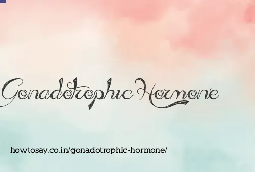 Gonadotrophic Hormone