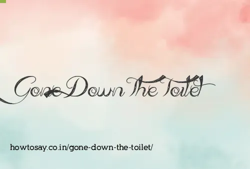 Gone Down The Toilet