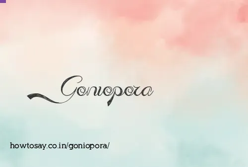 Goniopora