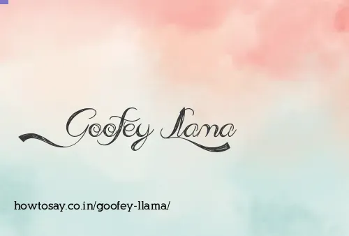 Goofey Llama