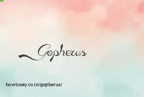 Gopherus
