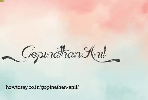Gopinathan Anil