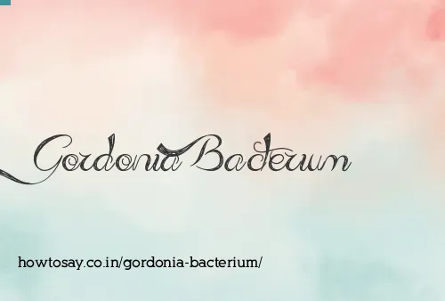 Gordonia Bacterium