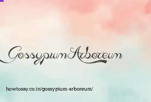 Gossypium Arboreum
