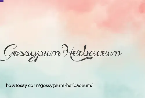 Gossypium Herbaceum