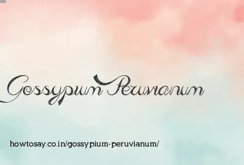 Gossypium Peruvianum