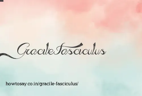 Gracile Fasciculus